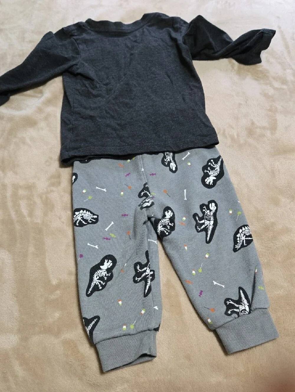Cat & Jack Gray and Dark Gray Dinosaur Skeleton with Orange Pumpkin Set
